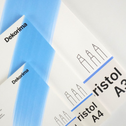 Bristol Paper A4 in the group Paper & Pads / Artist Pads & Paper / Drawing & Sketch Pads at Pen Store (135671)