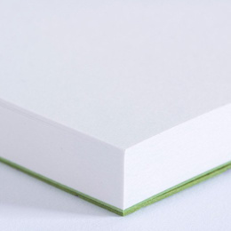 Craftsman Sketchbook A4 - Olivine in the group Paper & Pads / Artist Pads & Paper / Sketchbooks at Pen Store (135790)