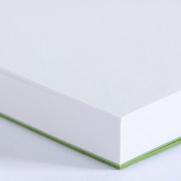 Craftsman Sketchbook A5 - Olivine in the group Paper & Pads / Artist Pads & Paper / Sketchbooks at Pen Store (135791)