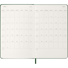 Calendar 12M Daily 2026 Hardcover Large Myrtle Green in the group Paper & Pads / Planners / 12-Month Planners at Pen Store (136083)