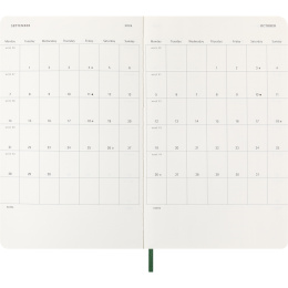 Calendar 12M Daily 2026 Softcover Large Myrtle Green in the group Paper & Pads / Planners / 12-Month Planners at Pen Store (136088)