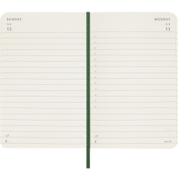 Calendar 12M Daily 2026 Softcover Pocket Myrtle Green in the group Paper & Pads / Planners / 12-Month Planners at Pen Store (136089)