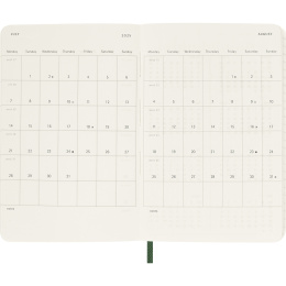 Calendar 12M Daily 2026 Softcover Pocket Myrtle Green in the group Paper & Pads / Planners / 12-Month Planners at Pen Store (136089)