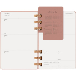 Calendar 12M Spiral Planner 2026 Large Almond in the group Paper & Pads / Planners / 12-Month Planners at Pen Store (136105)