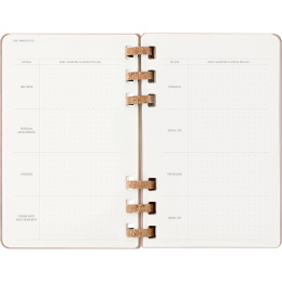 Calendar 12M Spiral Planner 2026 Large Almond in the group Paper & Pads / Planners / 12-Month Planners at Pen Store (136105)