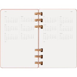 Calendar 12M Spiral Planner 2026 Large Almond in the group Paper & Pads / Planners / 12-Month Planners at Pen Store (136105)