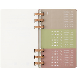 Calendar 12M Spiral Planner 2026 Large Almond in the group Paper & Pads / Planners / 12-Month Planners at Pen Store (136105)