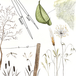 Memory Point Liner Size 2 in the group Art Supplies / Brushes / Synthetic Brushes at Pen Store (136278)