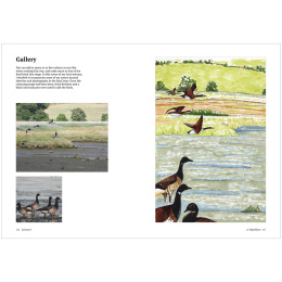 How to Draw a River: from the Source to the Sea in the group Hobby & Creativity / Books / Art Instruction Books at Pen Store (136292)