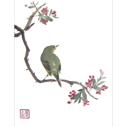 The Art of Sumi-e in the group Hobby & Creativity / Books / Inspirational Books at Pen Store (136293)