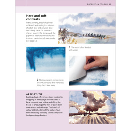 The Watercolour Artist's Bible in the group Hobby & Creativity / Books / Art Instruction Books at Pen Store (136295)