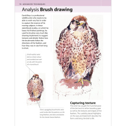 The Watercolour Artist's Bible in the group Hobby & Creativity / Books / Art Instruction Books at Pen Store (136295)