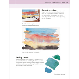 The Watercolour Artist's Bible in the group Hobby & Creativity / Books / Art Instruction Books at Pen Store (136295)