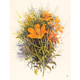 The Art of Gouache in the group Hobby & Creativity / Books / Art Instruction Books at Pen Store (136297)