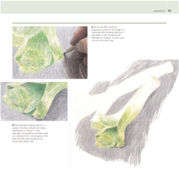 The Encyclopedia of Coloured Pencil Techniques in the group Hobby & Creativity / Books / Art Instruction Books at Pen Store (136298)