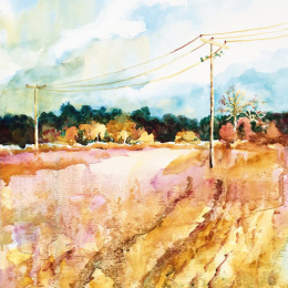 The Innovative Artist: Capturing Light in the group Hobby & Creativity / Books / Art Instruction Books at Pen Store (136308)