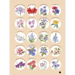 Draw 100: Flowers in the group Hobby & Creativity / Books / Inspirational Books at Pen Store (136315)