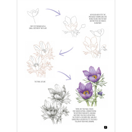 Draw 100: Flowers in the group Hobby & Creativity / Books / Inspirational Books at Pen Store (136315)