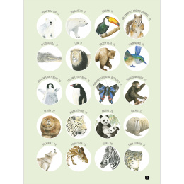 Draw 100: Animals in the group Hobby & Creativity / Books / Inspirational Books at Pen Store (136316)