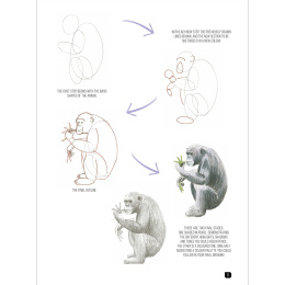 Draw 100: Animals in the group Hobby & Creativity / Books / Inspirational Books at Pen Store (136316)