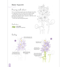 Paint 50: Watercolour Flowers in the group Hobby & Creativity / Books / Art Instruction Books at Pen Store (136318)