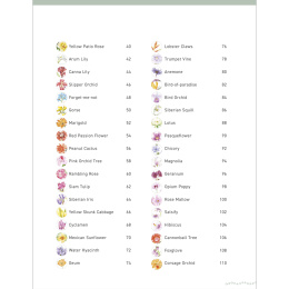 Paint 50: Watercolour Flowers in the group Hobby & Creativity / Books / Art Instruction Books at Pen Store (136318)