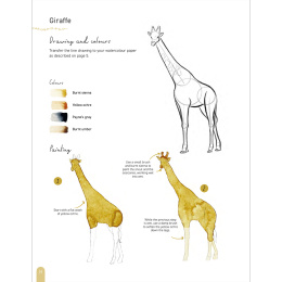 Paint 50: Watercolour Animals in the group Hobby & Creativity / Books / Art Instruction Books at Pen Store (136319)