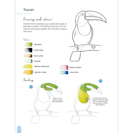 Paint 50: Watercolour Animals in the group Hobby & Creativity / Books / Art Instruction Books at Pen Store (136319)