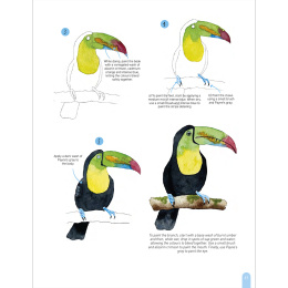 Paint 50: Watercolour Animals in the group Hobby & Creativity / Books / Art Instruction Books at Pen Store (136319)