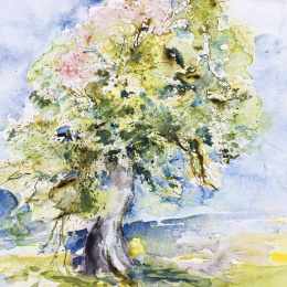 Nature in Watercolour in the group Hobby & Creativity / Books / Art Instruction Books at Pen Store (136320)