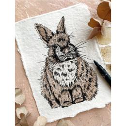 The Kew Book of Drawing Flora and Fauna in the group Hobby & Creativity / Books / Art Instruction Books at Pen Store (136328)