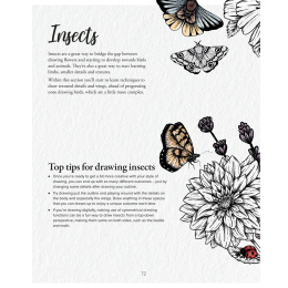 The Kew Book of Drawing Flora and Fauna in the group Hobby & Creativity / Books / Art Instruction Books at Pen Store (136328)