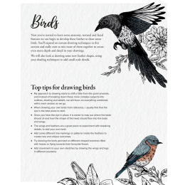 The Kew Book of Drawing Flora and Fauna in the group Hobby & Creativity / Books / Art Instruction Books at Pen Store (136328)