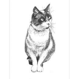 Pen and Ink Drawing Techniques in the group Hobby & Creativity / Books / Inspirational Books at Pen Store (136330)