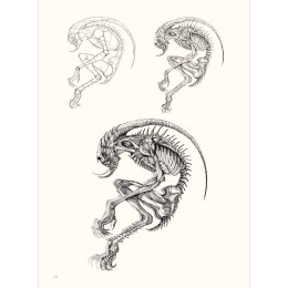 The Art of Fantasy in the group Hobby & Creativity / Books / Inspirational Books at Pen Store (136331)