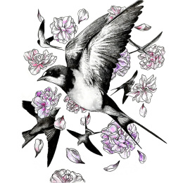 Illustration Watercolour Set in the group Art Supplies / Artist colours / Watercolor Paint / Watercolor pans at Pen Store (136421)