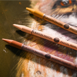 Pastel pencil in the group Pens / Artist Pens / Pastel pencils at Pen Store (136529_r)