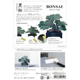 Bonsai pop-up card (Japanese black pine) in the group Hobby & Creativity / Holidays and seasons / Cards and envelopes at Pen Store (136616)