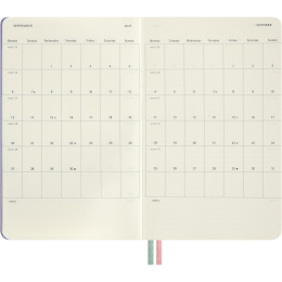 Calendar 18M WeekNote Hard Cover Large Alice in Wonderland in the group Paper & Pads / Planners / 18-Month Planners at Pen Store (137025)