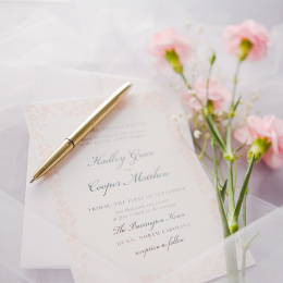 Bullet Gold Titanium in the group Pens / Fine Writing / Ballpoint Pens at Pen Store (137026)