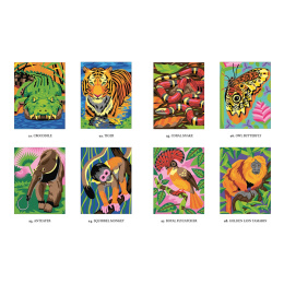 Mystery Coloring Wild Animals in the group Hobby & Creativity / Books / Adult Coloring Books at Pen Store (137183)