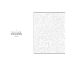 Mystery Coloring Wild Animals in the group Hobby & Creativity / Books / Adult Coloring Books at Pen Store (137183)