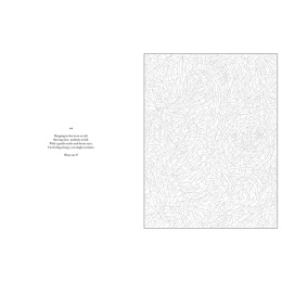 Mystery Coloring Wild Animals in the group Hobby & Creativity / Books / Adult Coloring Books at Pen Store (137183)