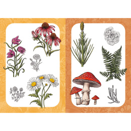 10 Step Drawing: Botanicals in the group Hobby & Creativity / Books / Art Instruction Books at Pen Store (137196)