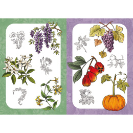 10 Step Drawing: Botanicals in the group Hobby & Creativity / Books / Art Instruction Books at Pen Store (137196)