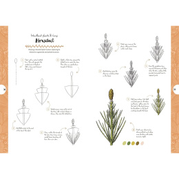 10 Step Drawing: Botanicals in the group Hobby & Creativity / Books / Art Instruction Books at Pen Store (137196)