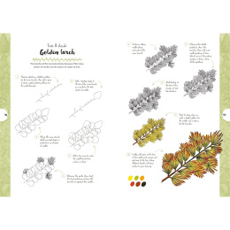 10 Step Drawing: Botanicals in the group Hobby & Creativity / Books / Art Instruction Books at Pen Store (137196)
