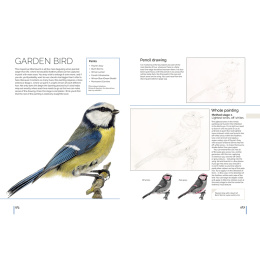 Anna Mason's Watercolour World in the group Hobby & Creativity / Books / Inspirational Books at Pen Store (137202)