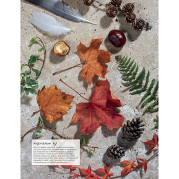 Anna Mason's Watercolour World in the group Hobby & Creativity / Books / Inspirational Books at Pen Store (137202)