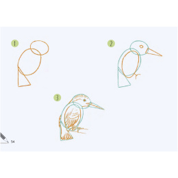 Draw 30: Animals in the group Hobby & Creativity / Books / Art Instruction Books at Pen Store (137210)